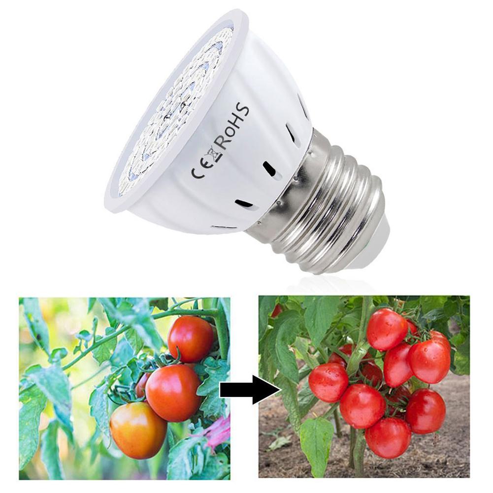 Plant Grow Light Full Spectrum - LED Grow Bulb E27 60 80LEDs
