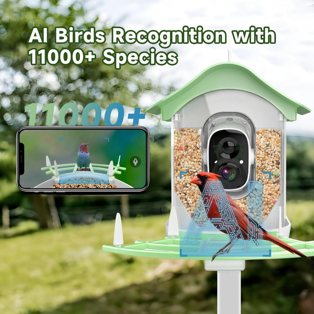 Solar Powered Smart Bird Feede - Smart Bird Feeder Camera ulasan dan harga