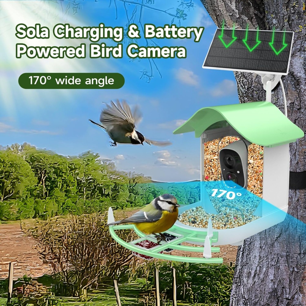 Solar Powered Smart Bird Feede - Smart Bird Feeder Camera ulasan dan harga