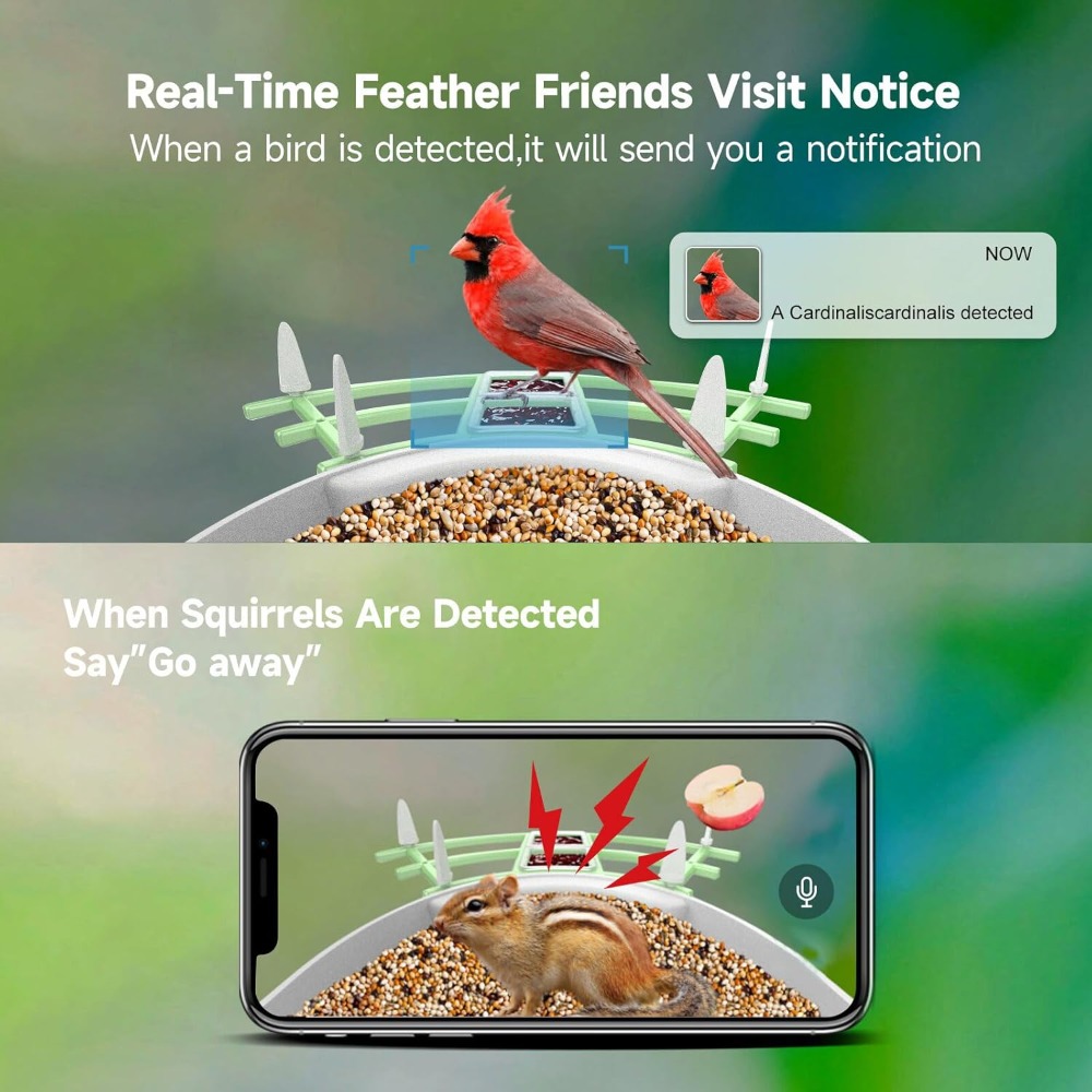 Solar Powered Smart Bird Feede - Smart Bird Feeder Camera ulasan dan harga