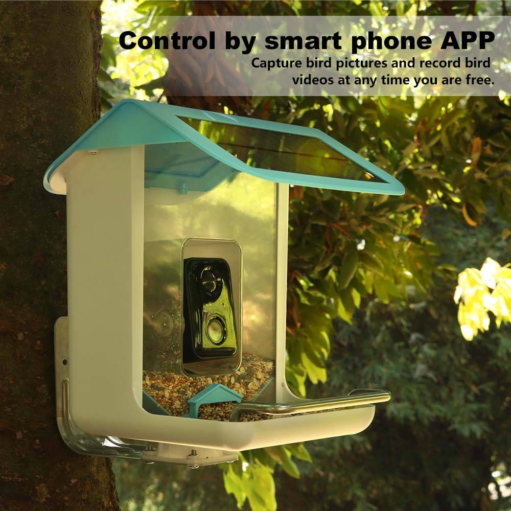 Outdoor Wildlife Wifi Camera C - Smart Bird Feeder Camera ulasan dan harga