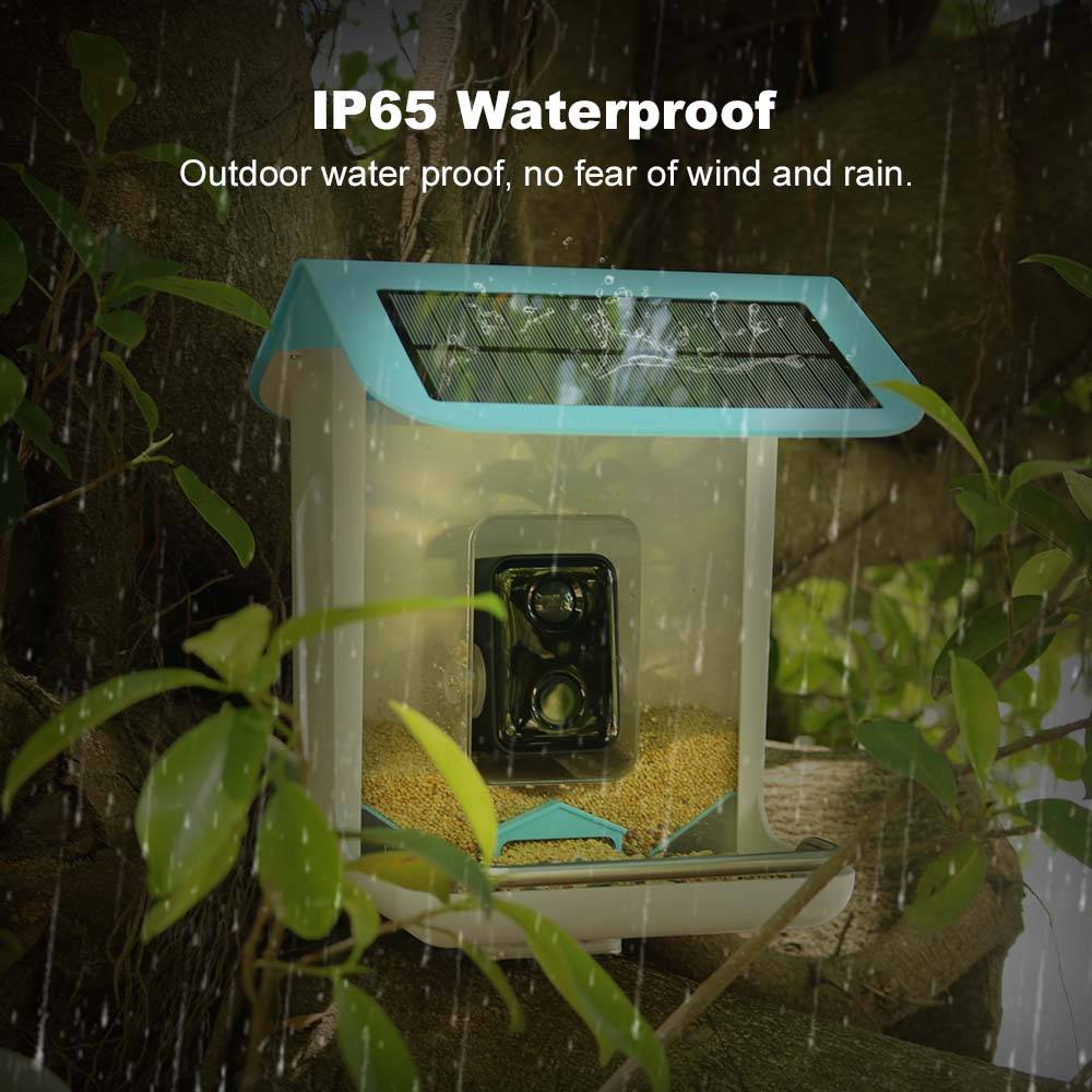 Outdoor Wildlife Wifi Camera C - Smart Bird Feeder Camera ulasan dan harga