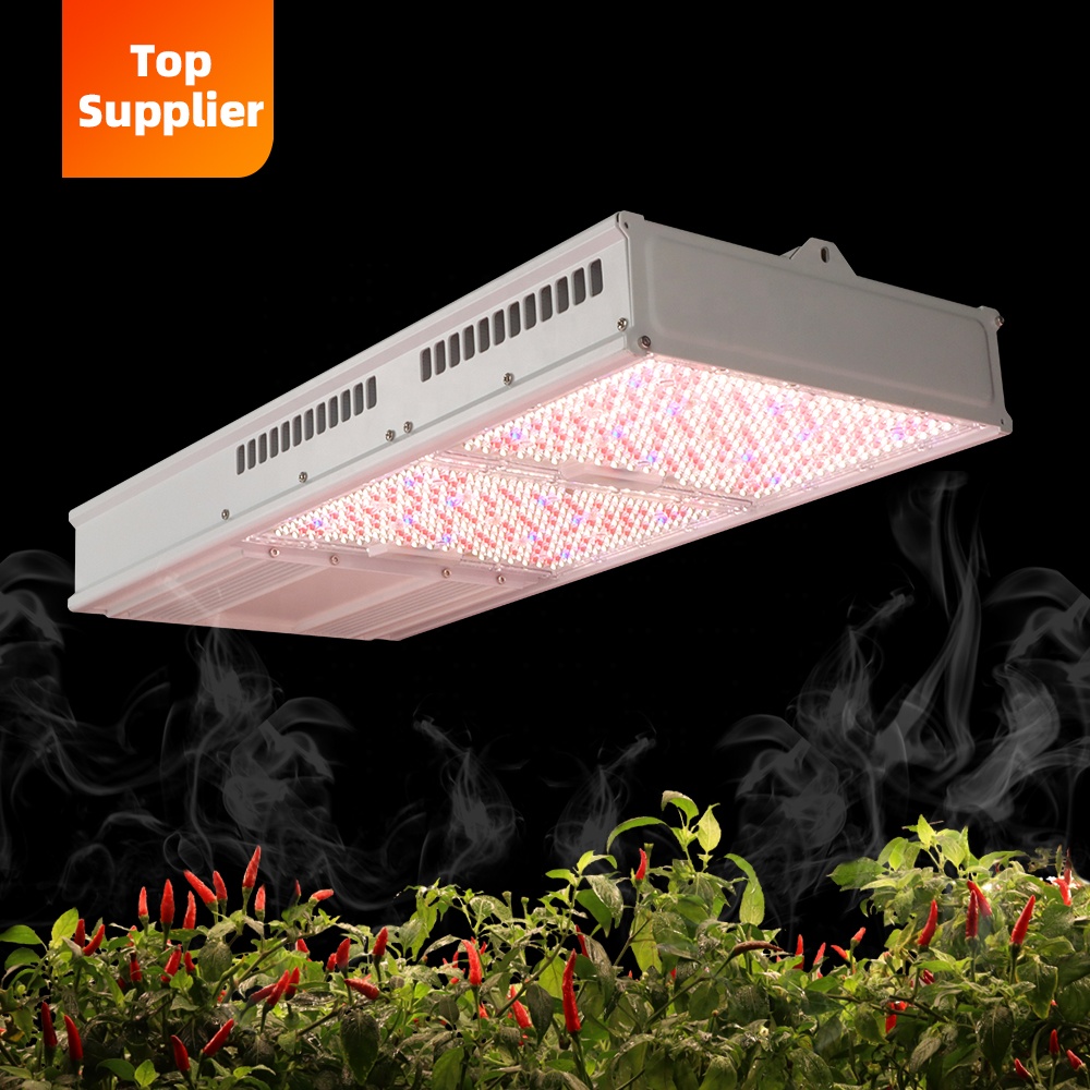 Cost-Effective 600W 800W Topli - Plant Grow Light Full Spectrum ulasan dan harga