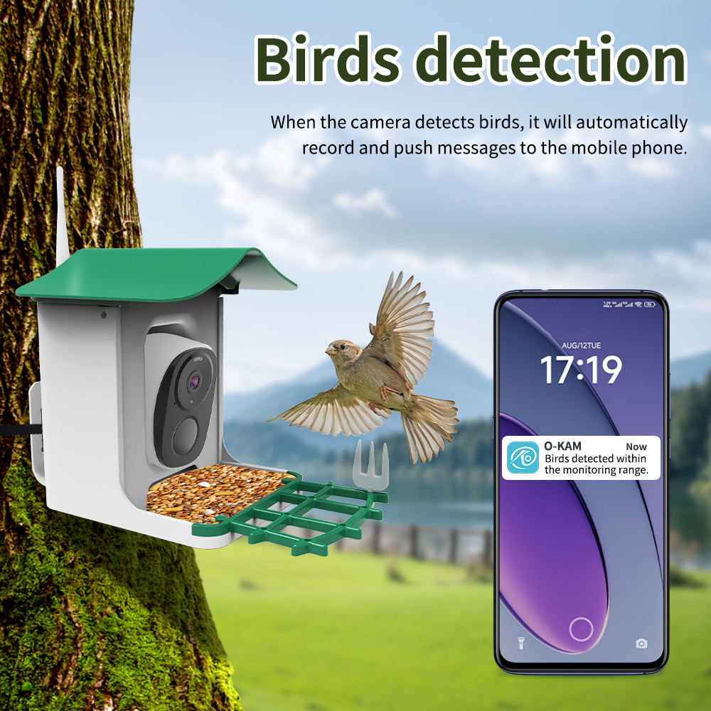 OEM 3MP O-KAM WIFI Color Night - Smart Bird Feeder Camera ulasan dan harga