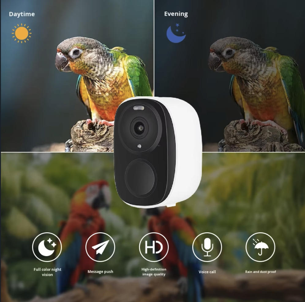 OEM 3MP O-KAM WIFI Color Night - Smart Bird Feeder Camera ulasan dan harga