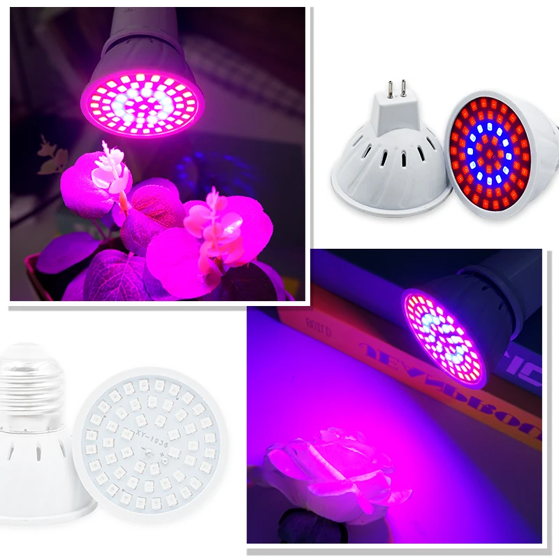 Phyto Lamp Full Spectrum LED G - Plant Grow Light Full Spectrum ulasan dan harga