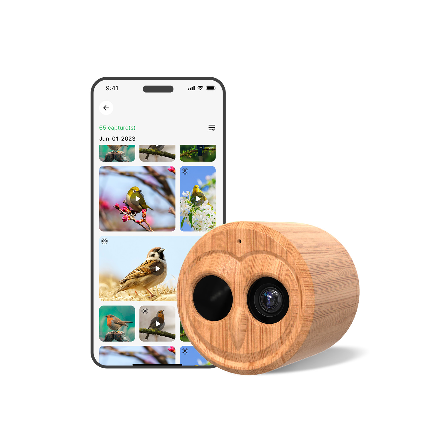 4K Smart Bird Feeder With Came - Smart Bird Feeder Camera ulasan dan harga