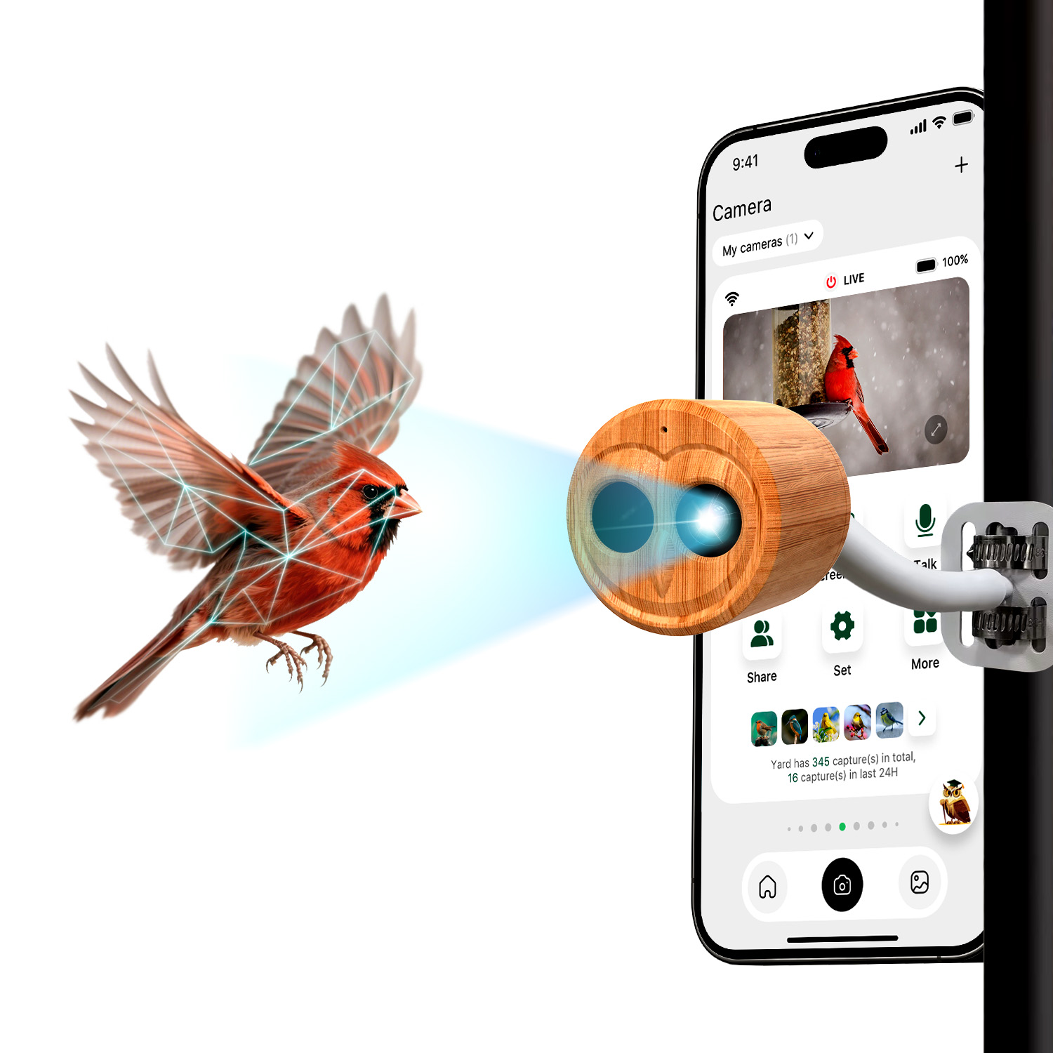 4K Smart Bird Feeder With Came - Smart Bird Feeder Camera ulasan dan harga