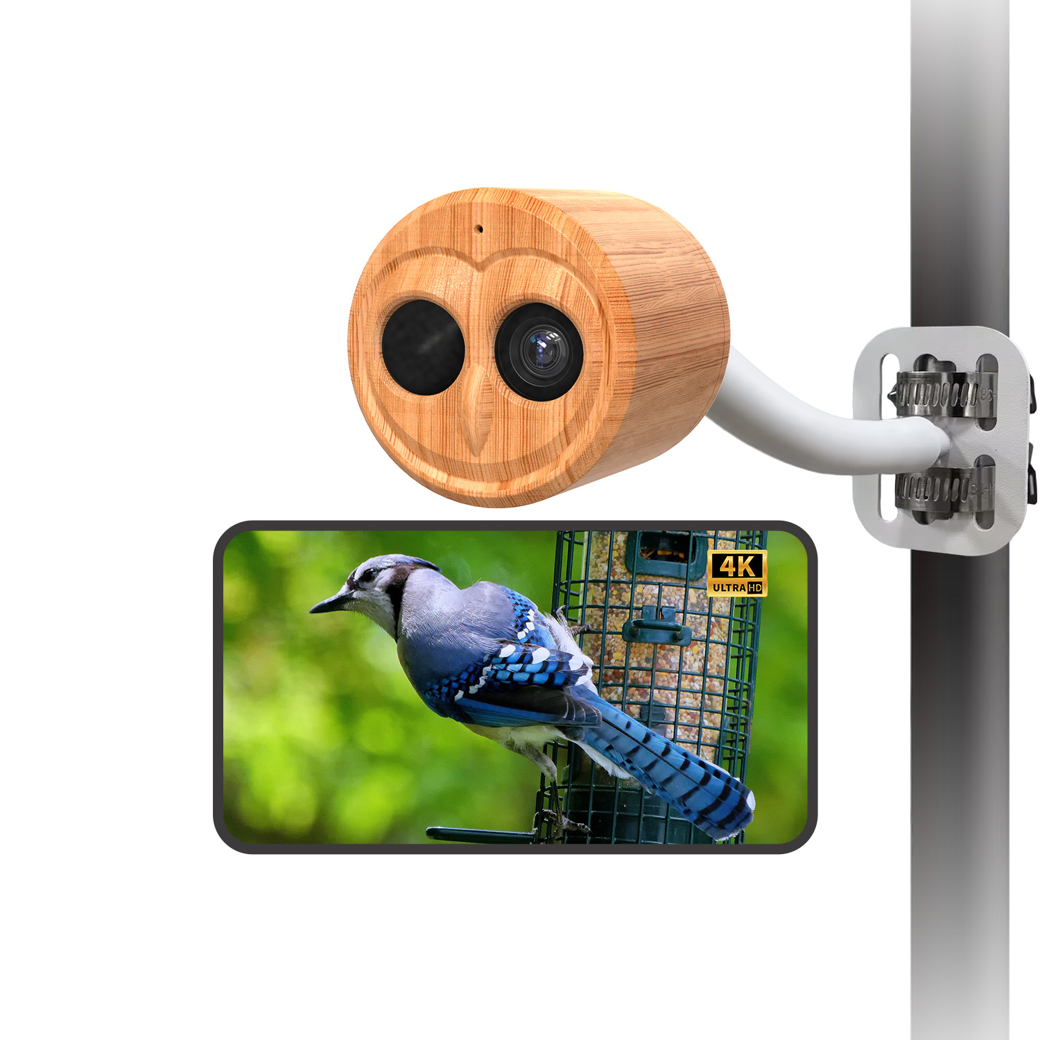 4K Smart Bird Feeder With Came - Smart Bird Feeder Camera ulasan dan harga