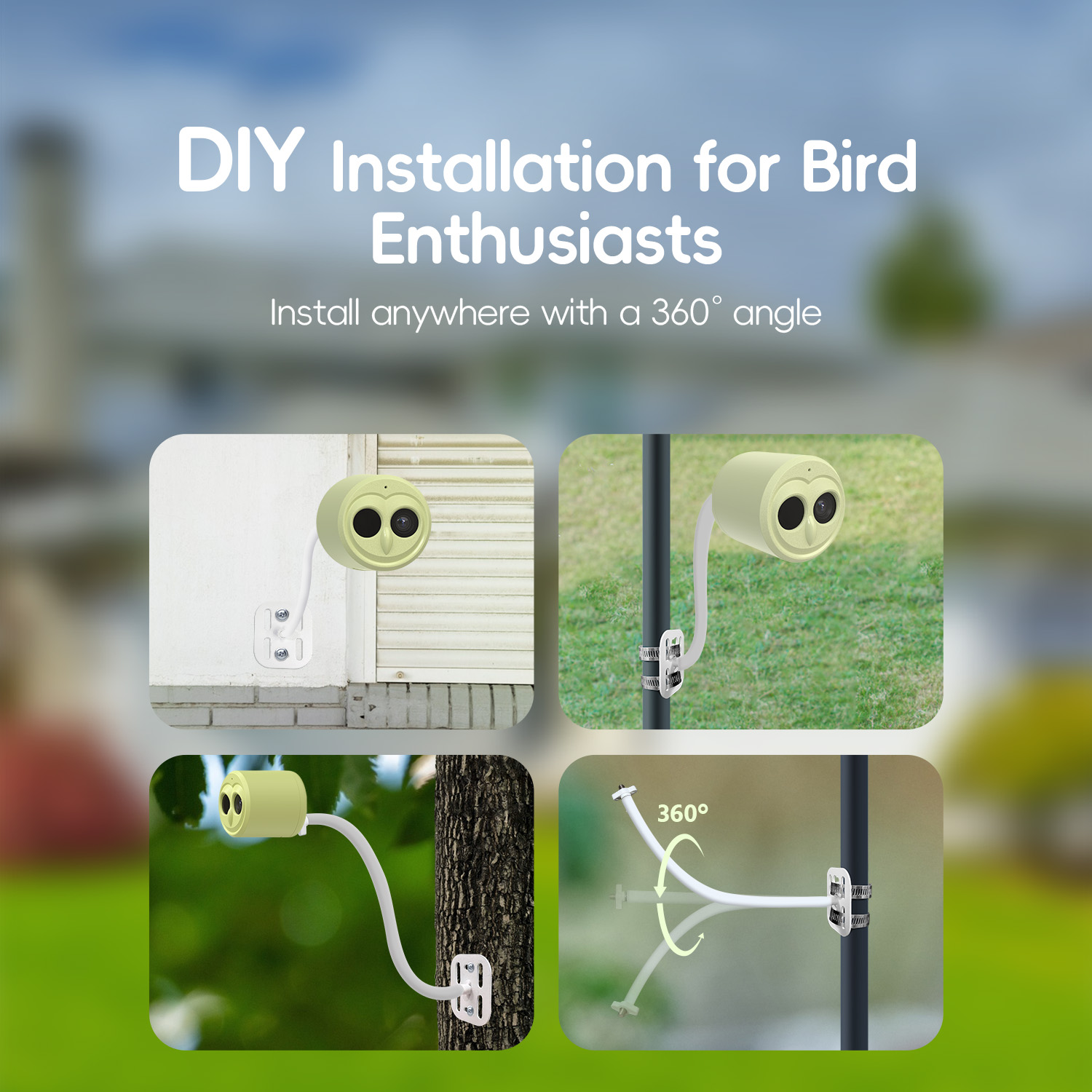 WILLFINE Automatic AI Bird Fee - Smart Bird Feeder Camera ulasan dan harga