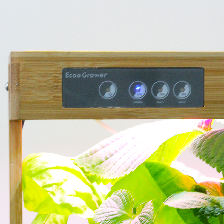 Bamboo Nature 8 Pods Home Hydr - Smart Pod Garden ulasan dan harga