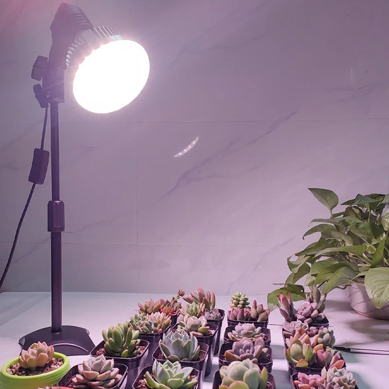 Foldable & Hanging Plant Grow  - Plant Grow Light Full Spectrum ulasan dan harga