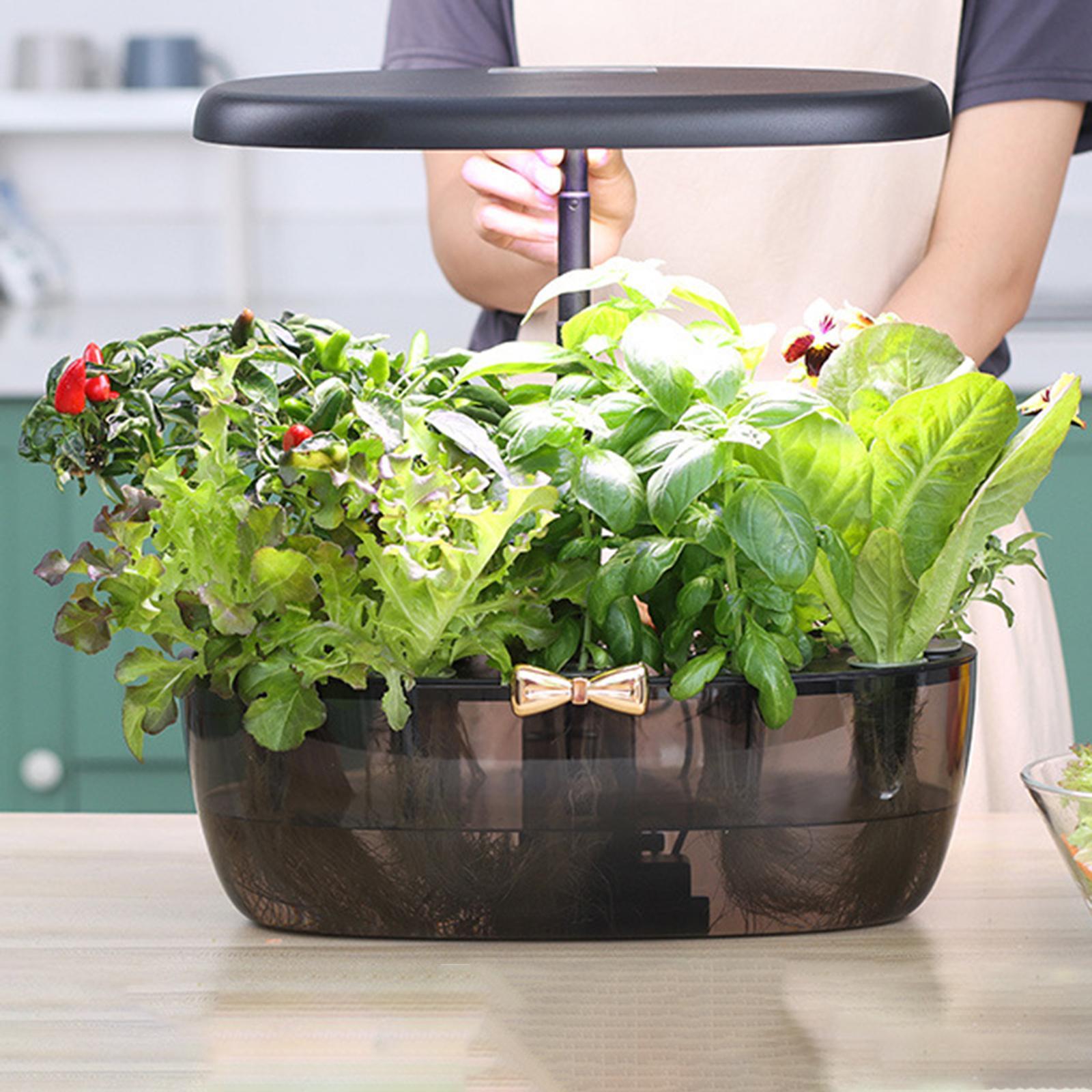 Hydroponics Growing Machine Li - Smart Pod Garden ulasan dan harga