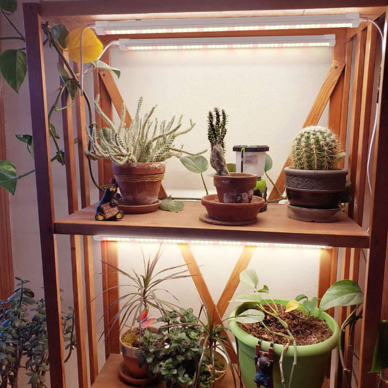 Indoor Green Plant Supplement  - Plant Grow Light Full Spectrum ulasan dan harga