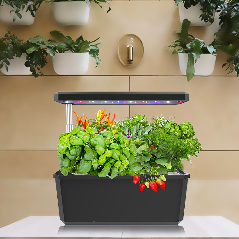 Smart Garden  Hydroponic  Indo - Smart Pod Garden ulasan dan harga
