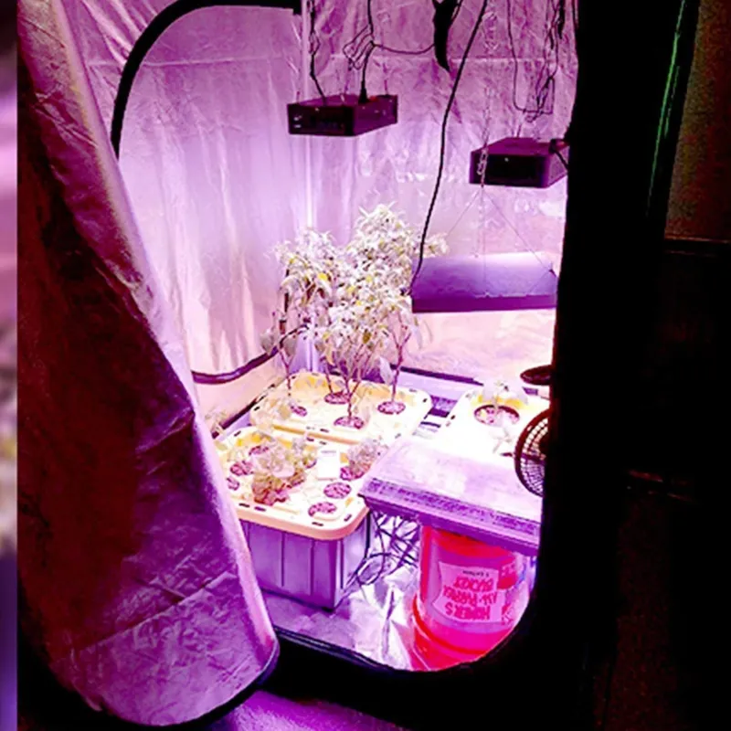 ROHE 100x100x200cm Hydroponic  - Grow Tent Complete Kit ulasan dan harga