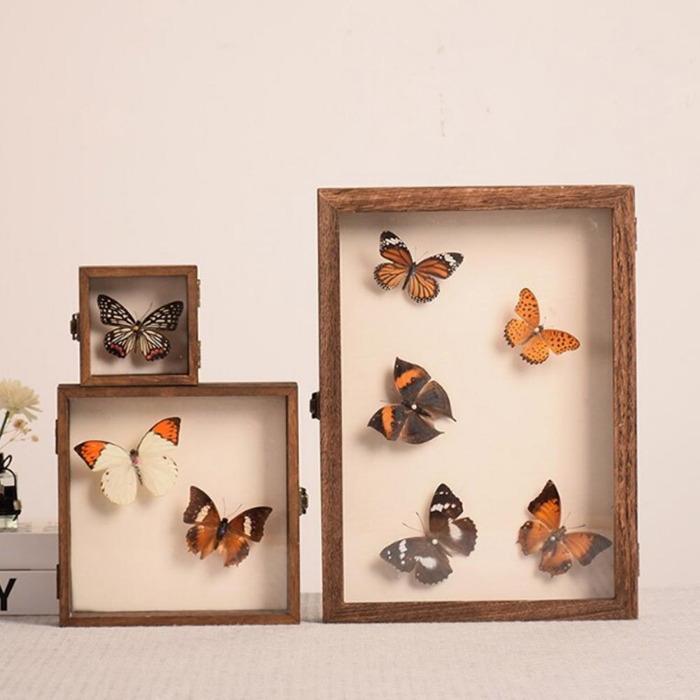 Wooden Display Case Butterfly  - Insect Hotel Wood ulasan dan harga