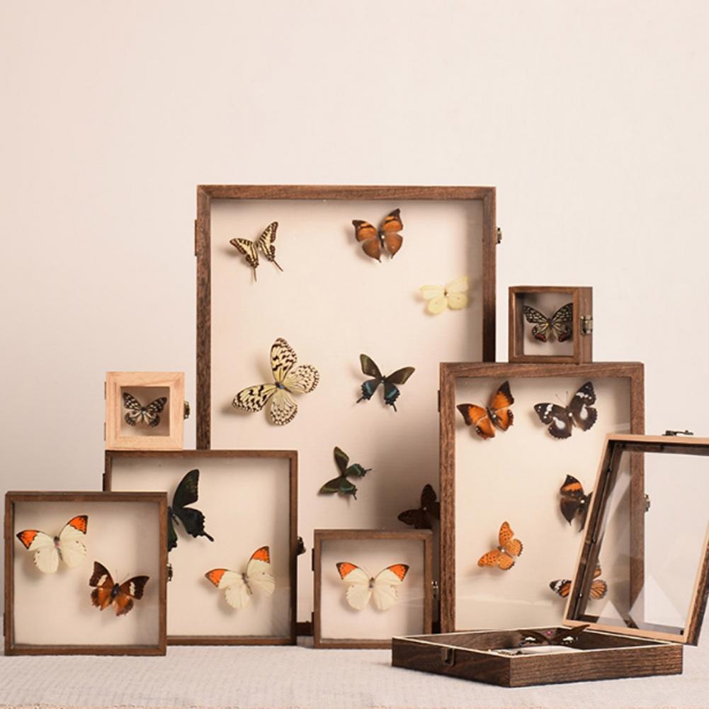 Wooden Display Case Butterfly  - Insect Hotel Wood ulasan dan harga