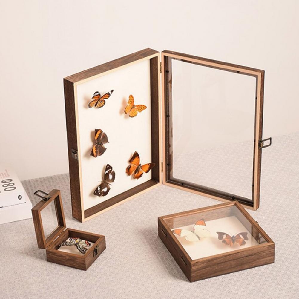 Wooden Display Case Butterfly  - Insect Hotel Wood ulasan dan harga