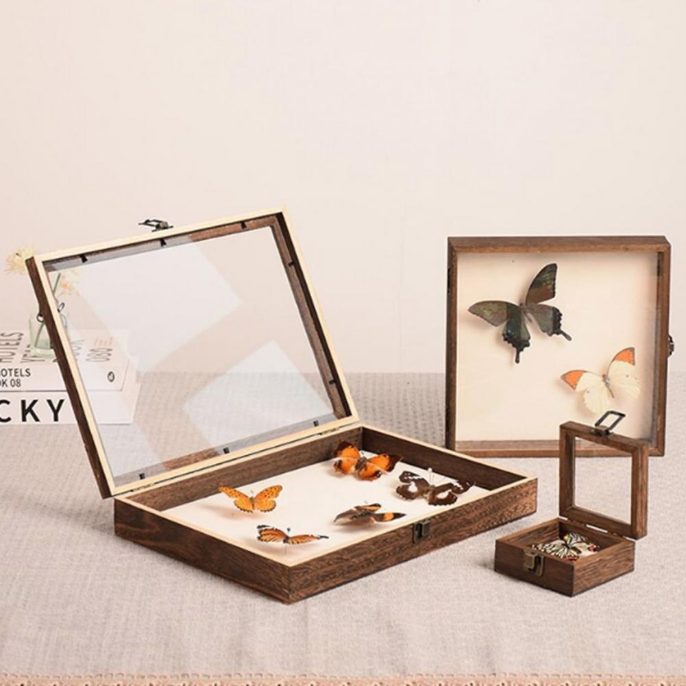 Wooden Display Case Butterfly  - Insect Hotel Wood ulasan dan harga