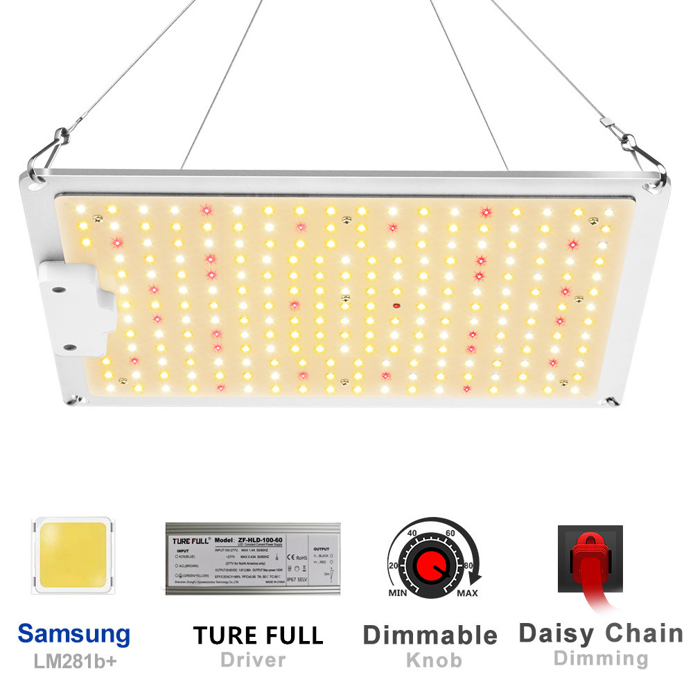Grow Tent Growbox Hydroponics  - Grow Tent Complete Kit ulasan dan harga