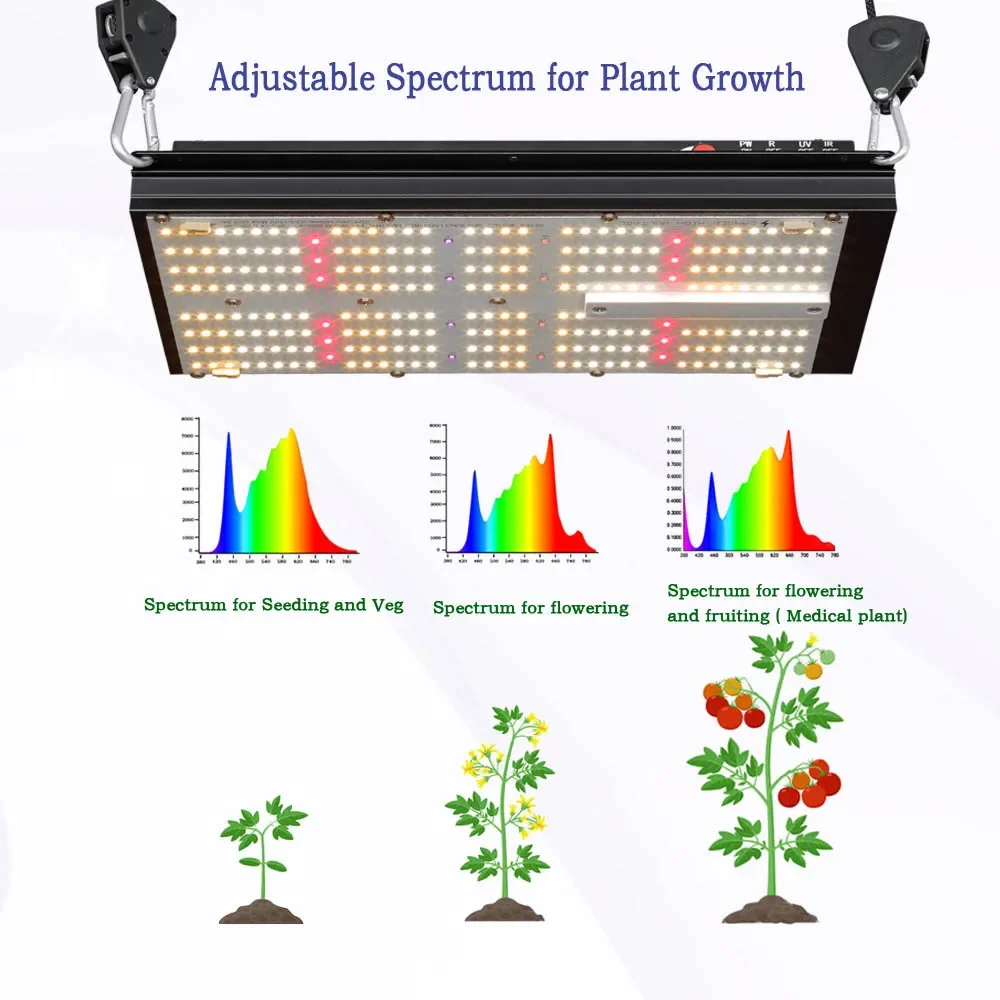 BAVAGREEN Hydroponic System Sm - Grow Tent Complete Kit ulasan dan harga