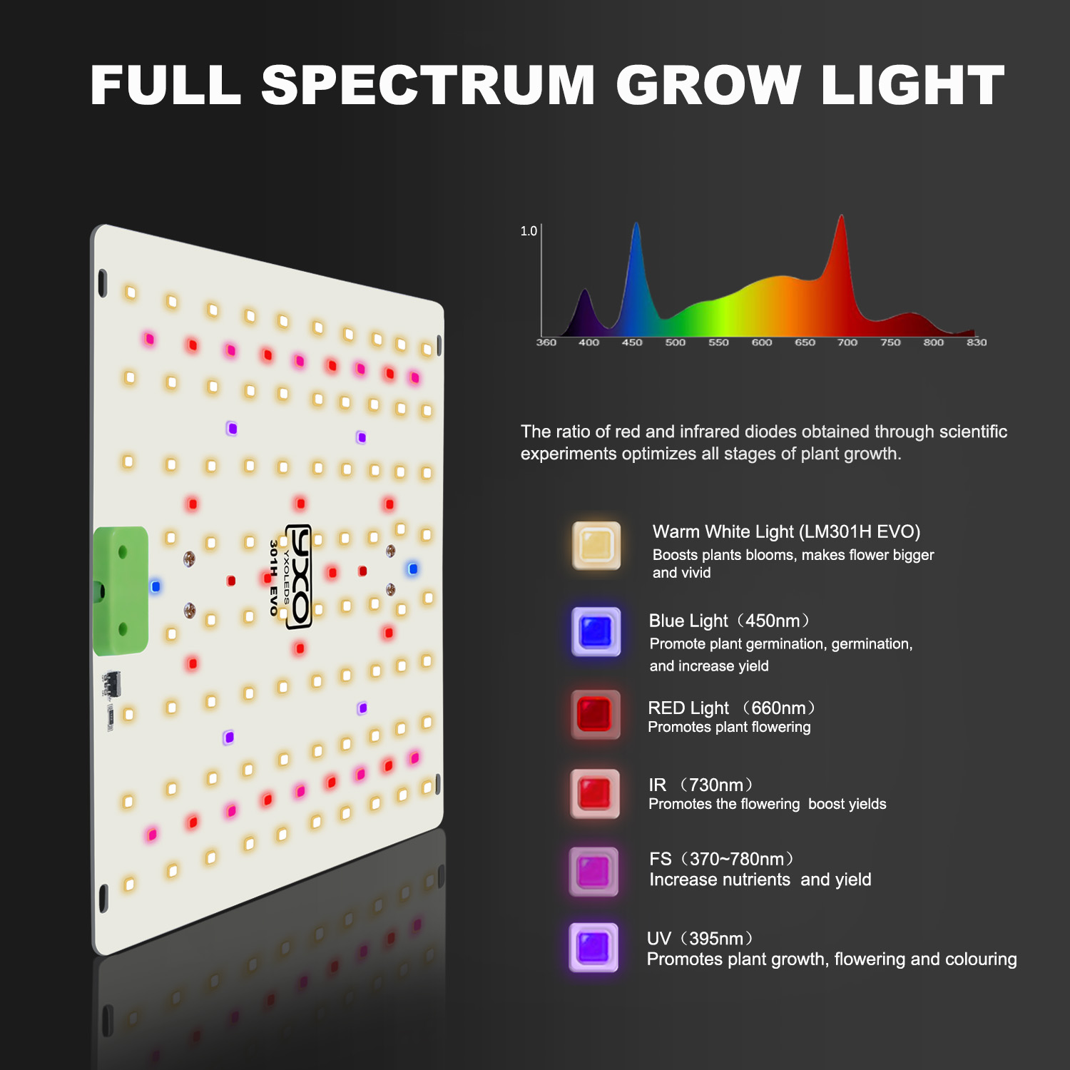 85W 180W LM301H EVO Quantum LE - Grow Tent Complete Kit ulasan dan harga