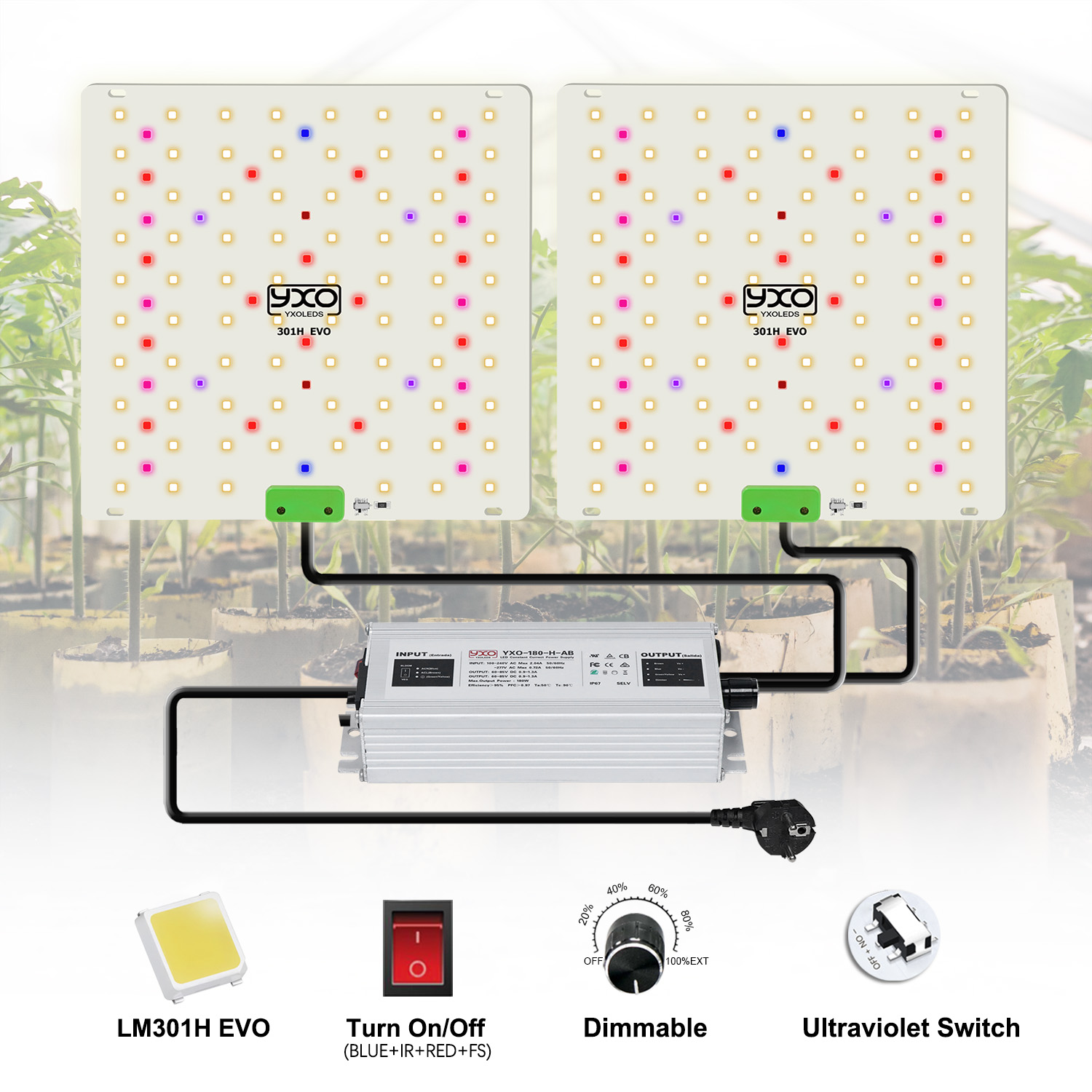 85W 180W LM301H EVO Quantum LE - Grow Tent Complete Kit ulasan dan harga