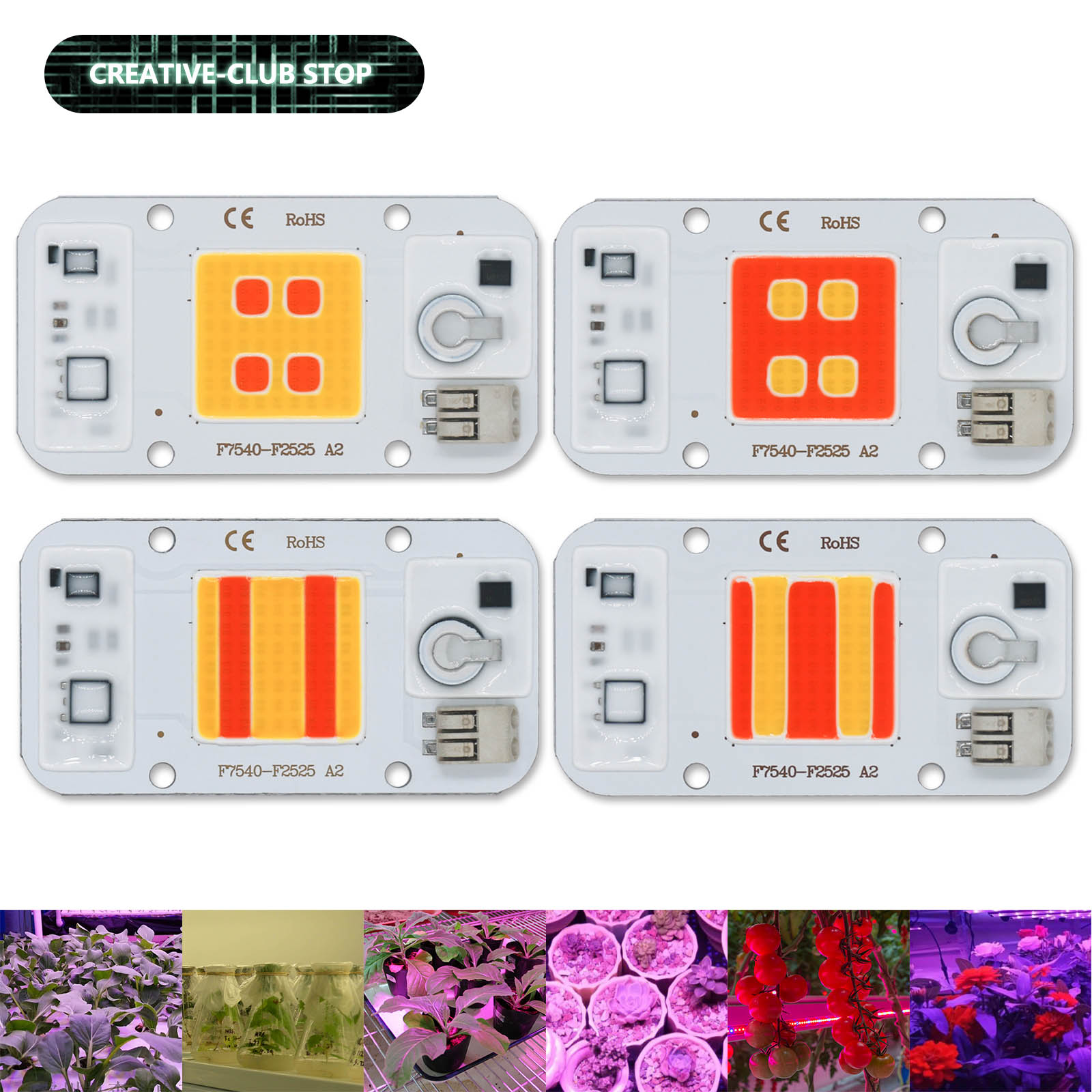 50W LED COB Chip Welding Free  - Plant Grow Light Full Spectrum ulasan dan harga