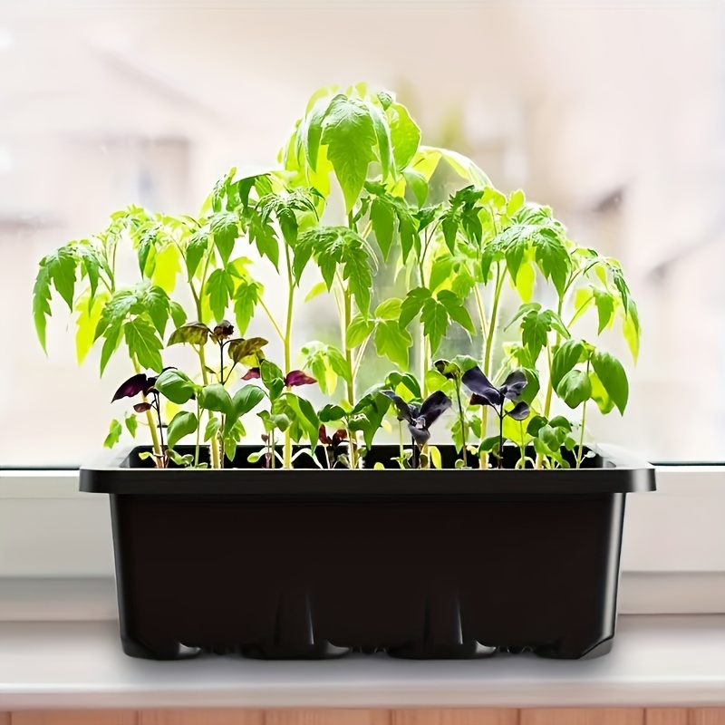 Seedling Starter Kit 1/2/3 Set - Plant Grow Light Full Spectrum ulasan dan harga