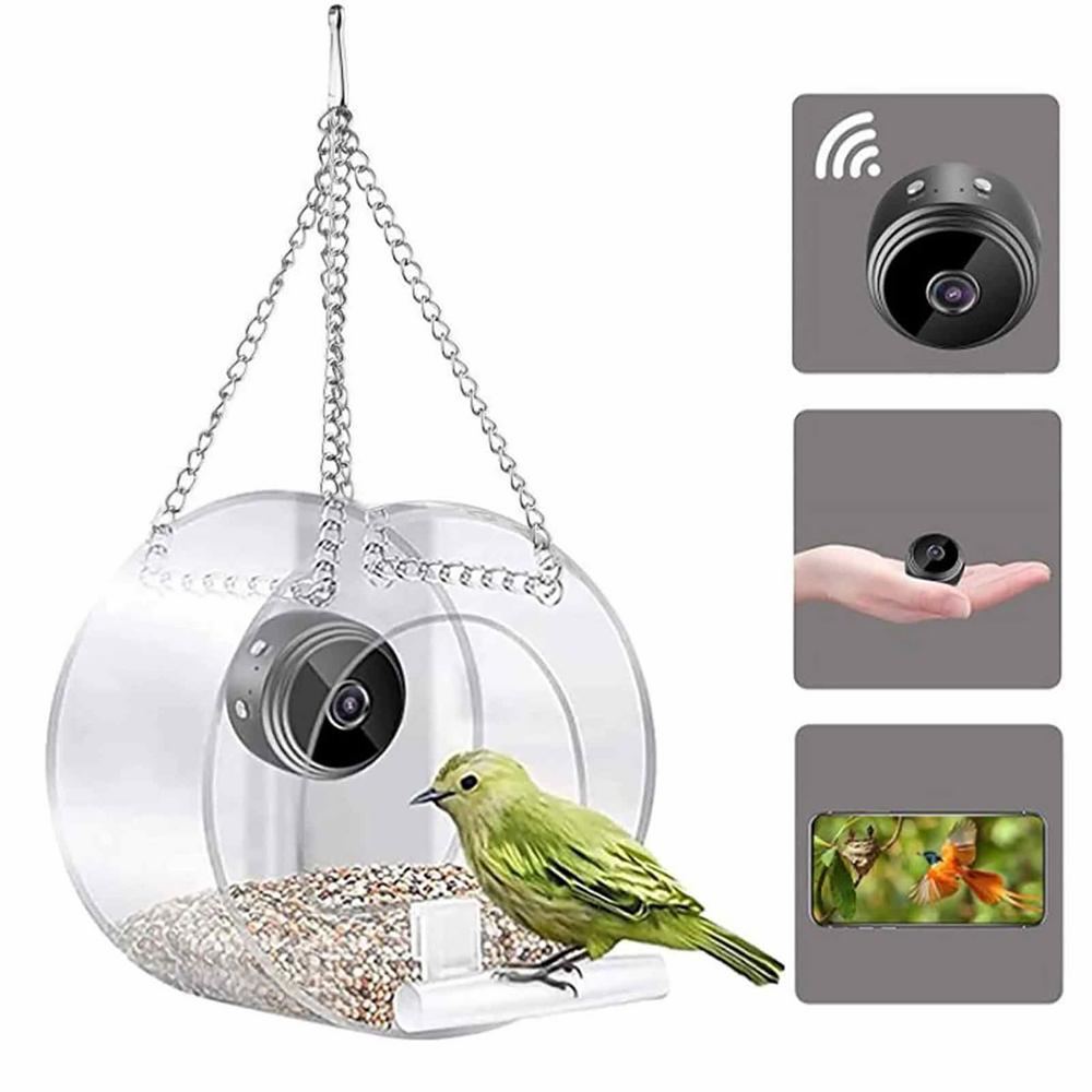 Bird Feeder With High Definiti - Smart Bird Feeder Camera ulasan dan harga