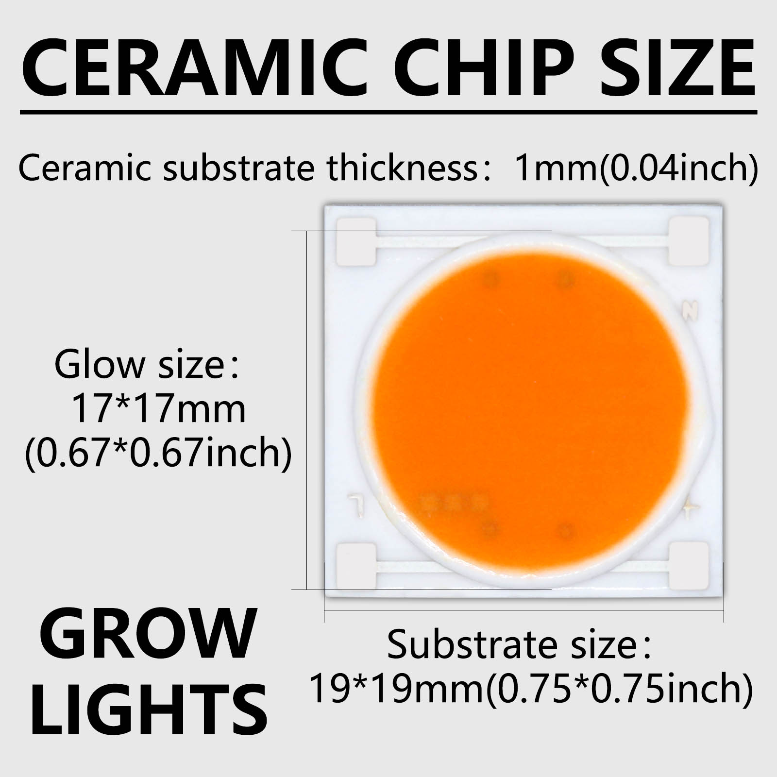 5pcs Ceramics Base LED COB Chi - Plant Grow Light Full Spectrum ulasan dan harga