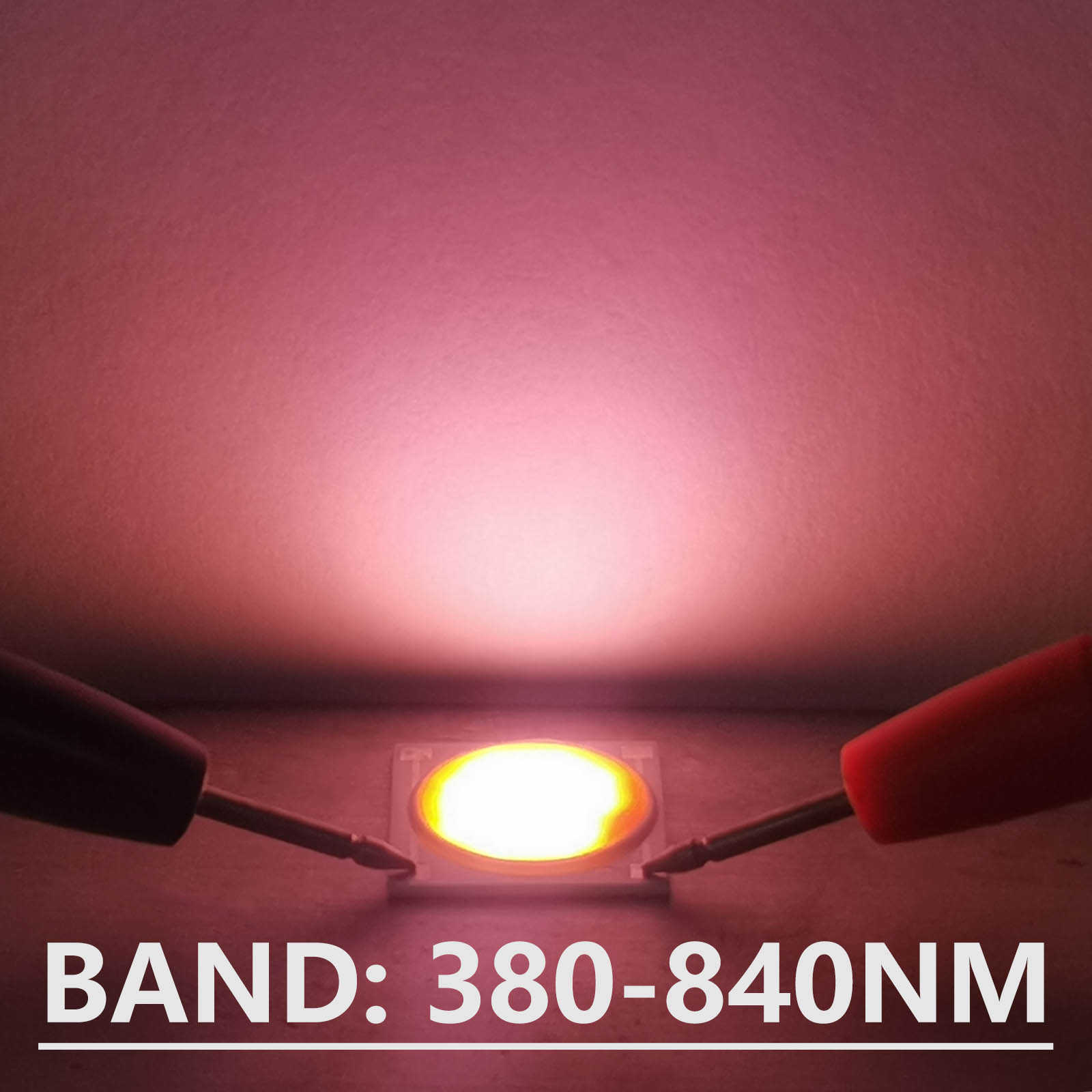 5pcs Ceramics Base LED COB Chi - Plant Grow Light Full Spectrum ulasan dan harga