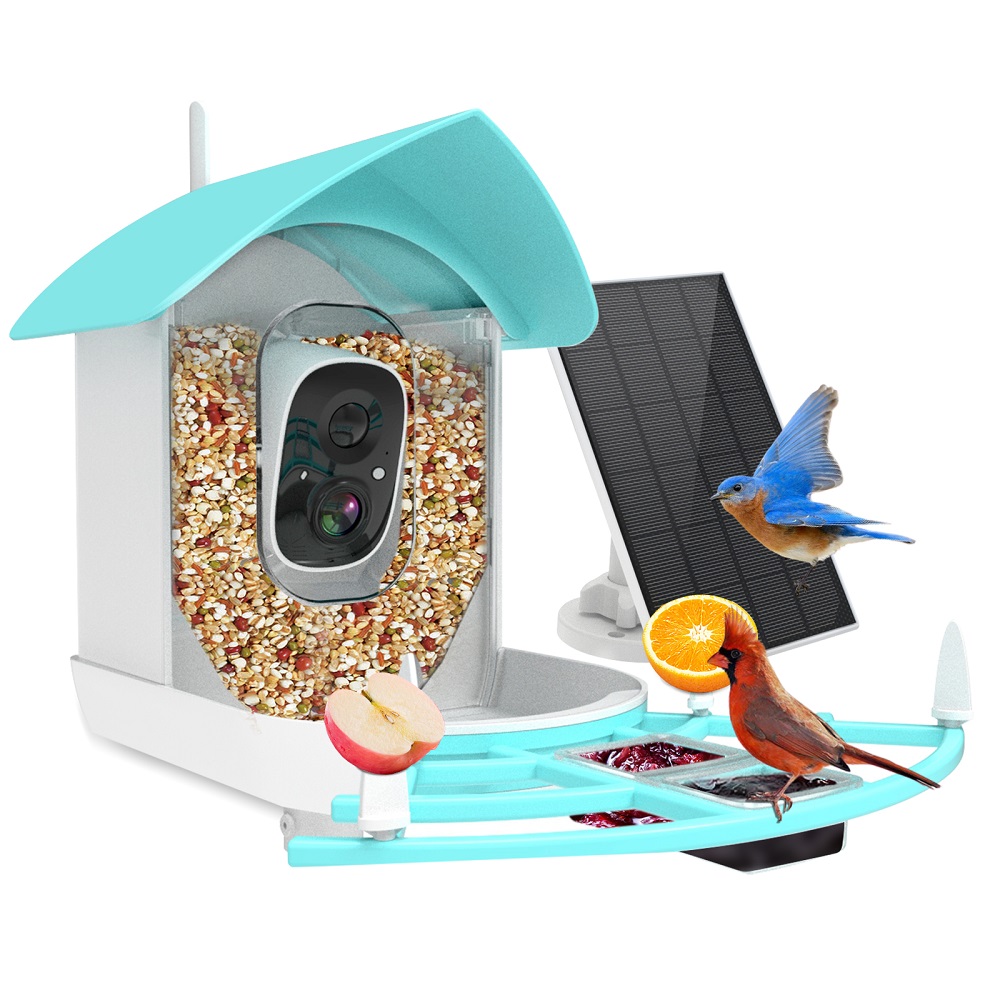 Wireless Automatic Pet Feeder  - Smart Bird Feeder Camera ulasan dan harga