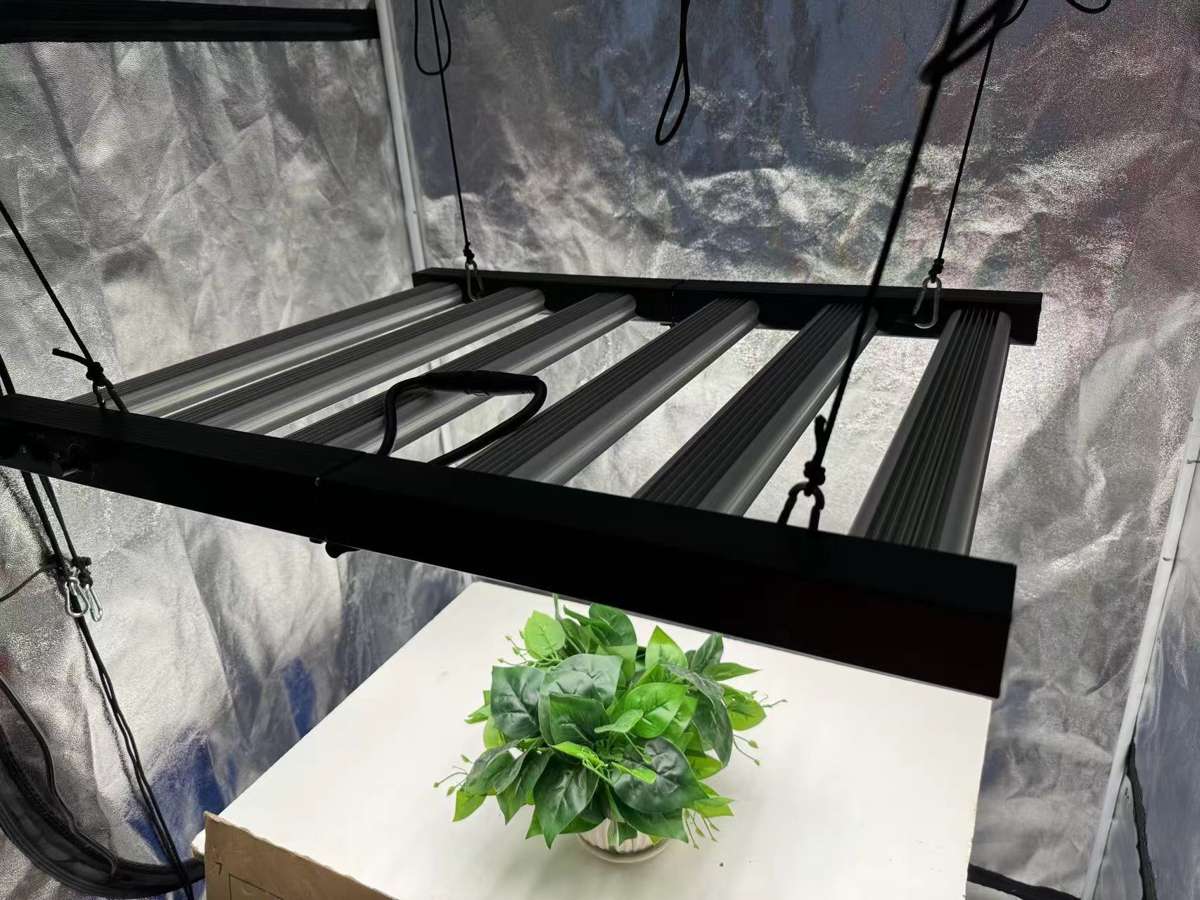 4x4 Grow Tent Complete Kit, In - Grow Tent Complete Kit ulasan dan harga