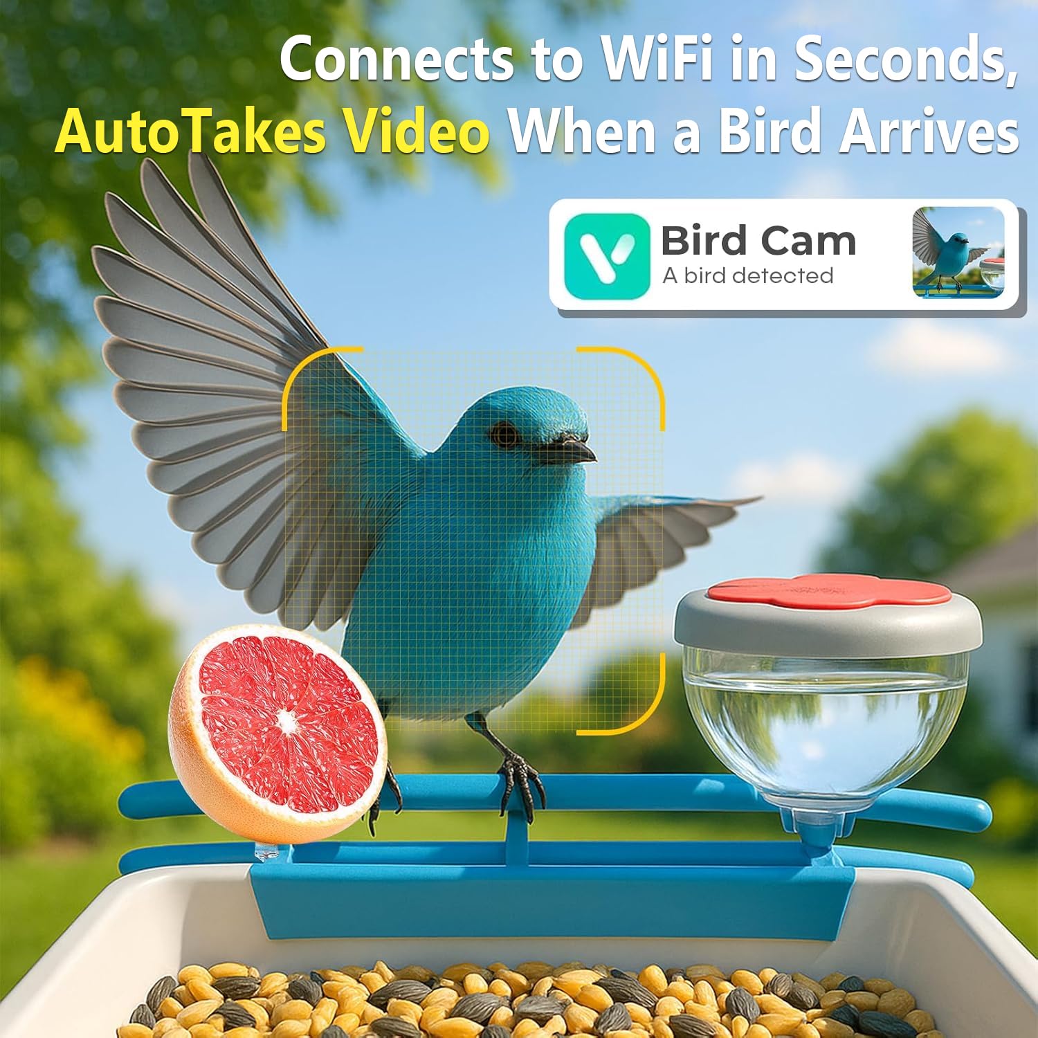 Smart Bird Feeder Camera 2K Li - Smart Bird Feeder Camera ulasan dan harga