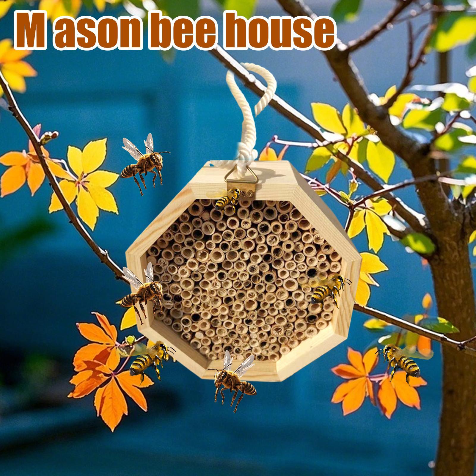 Wooden Insect Bee House Wood B - Insect Hotel Wood ulasan dan harga