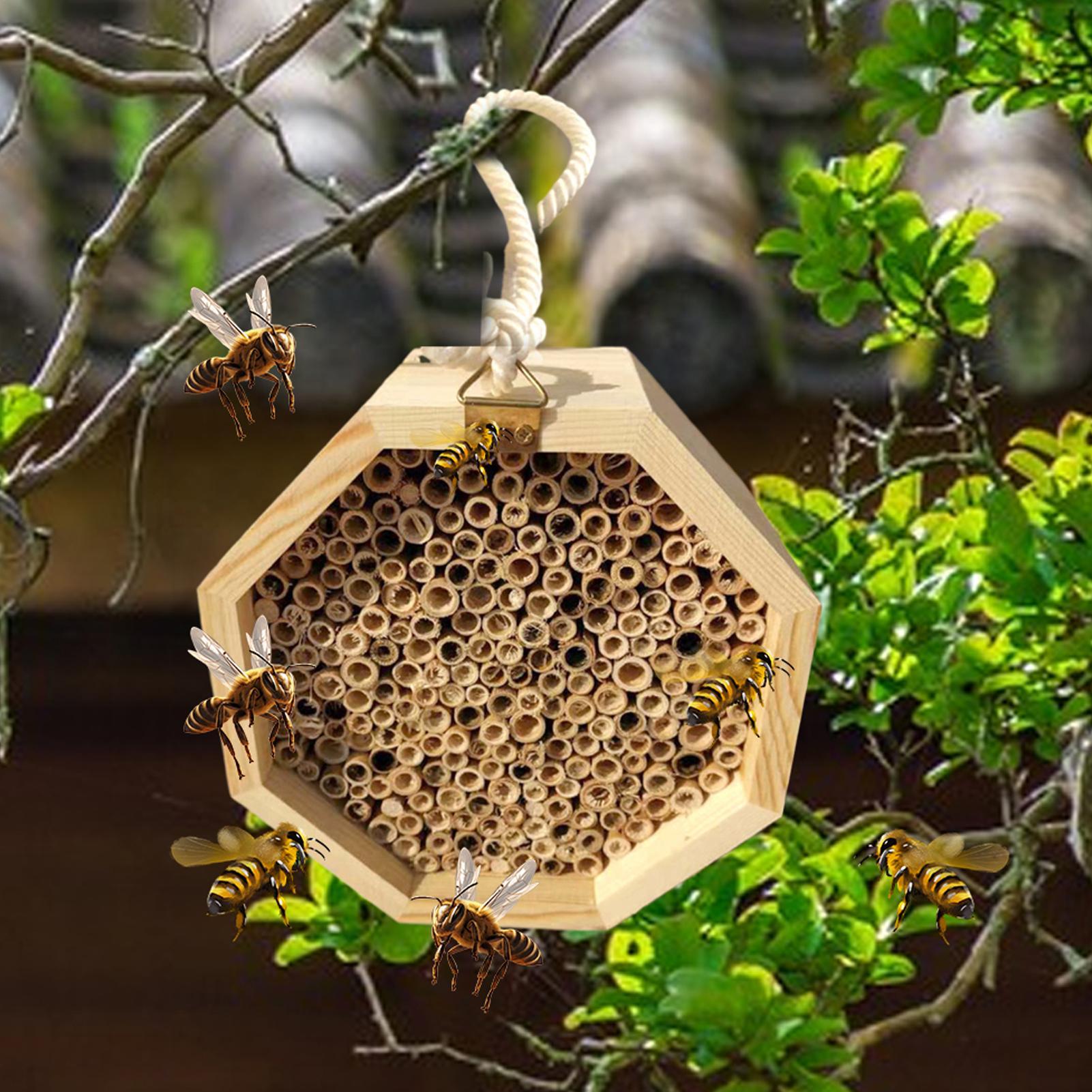 Wooden Insect Bee House Wood B - Insect Hotel Wood ulasan dan harga