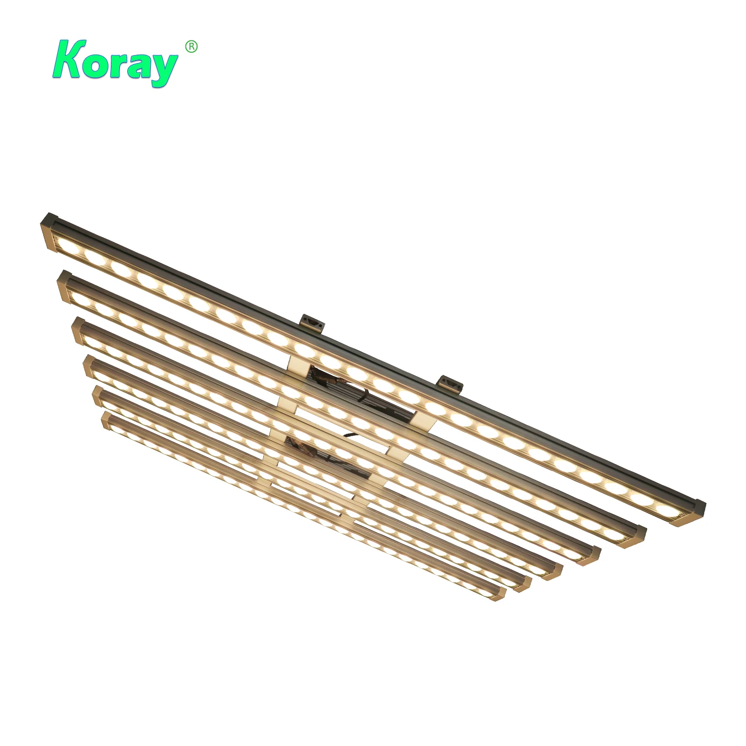 Koray 900W Indoor full spectru - Plant Grow Light Full Spectrum ulasan dan harga