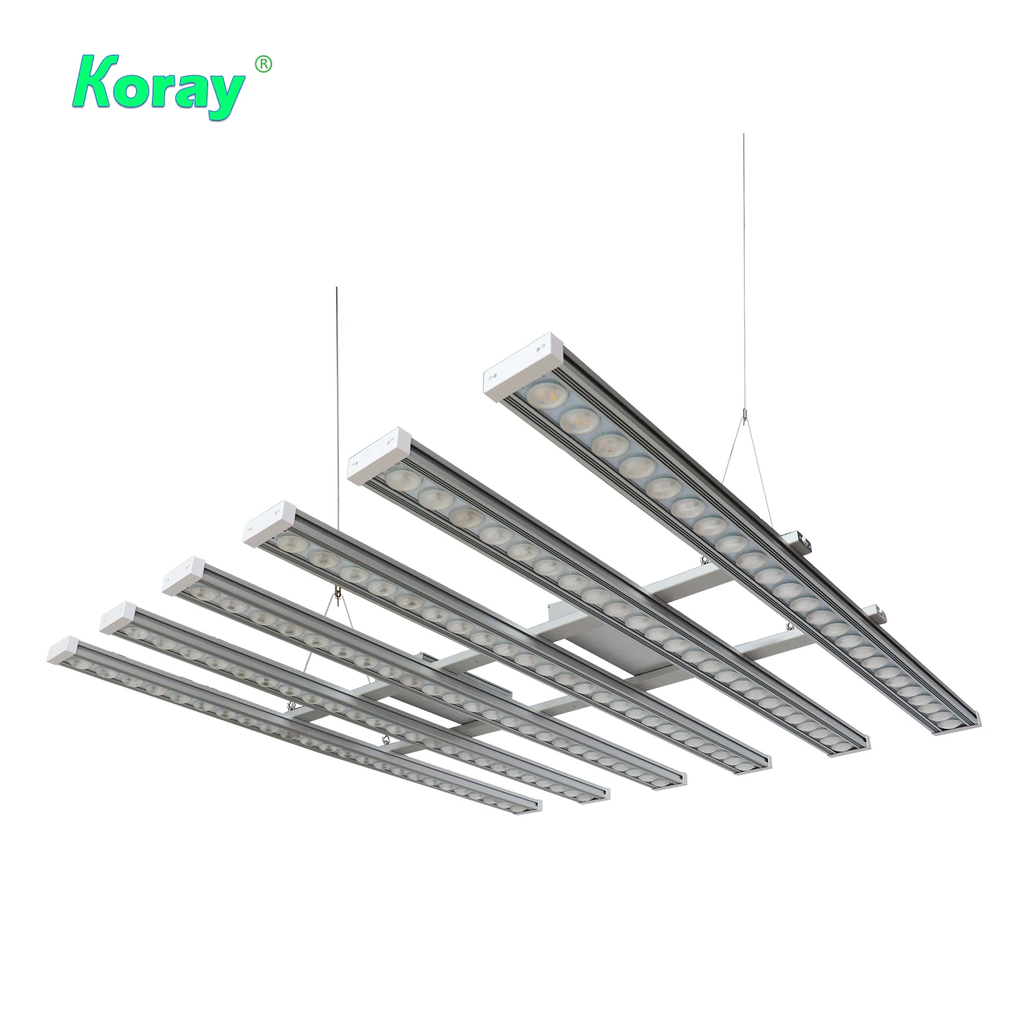 Koray 900W Indoor full spectru - Plant Grow Light Full Spectrum ulasan dan harga