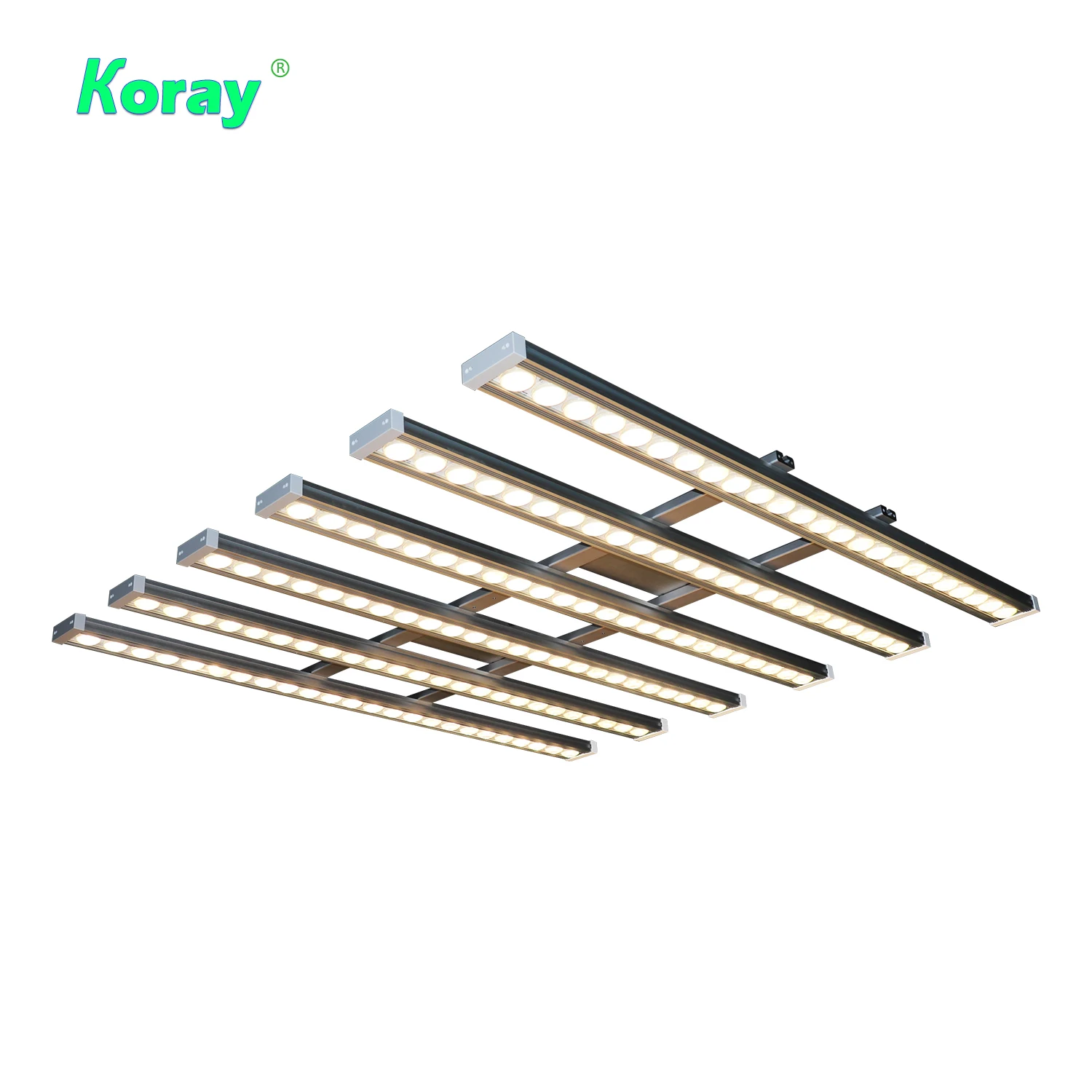 Koray 900W Indoor full spectru - Plant Grow Light Full Spectrum ulasan dan harga