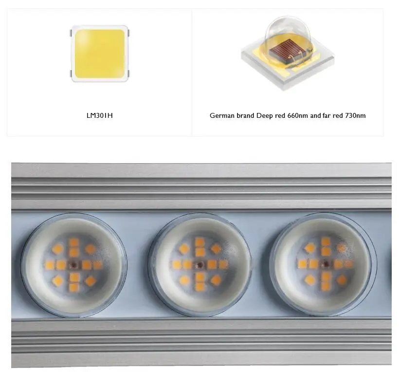 Koray 900W Indoor full spectru - Plant Grow Light Full Spectrum ulasan dan harga