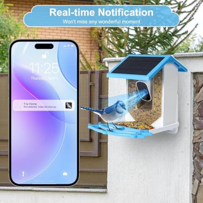 Smart Bird Feeder With Camera  - Smart Bird Feeder Camera ulasan dan harga