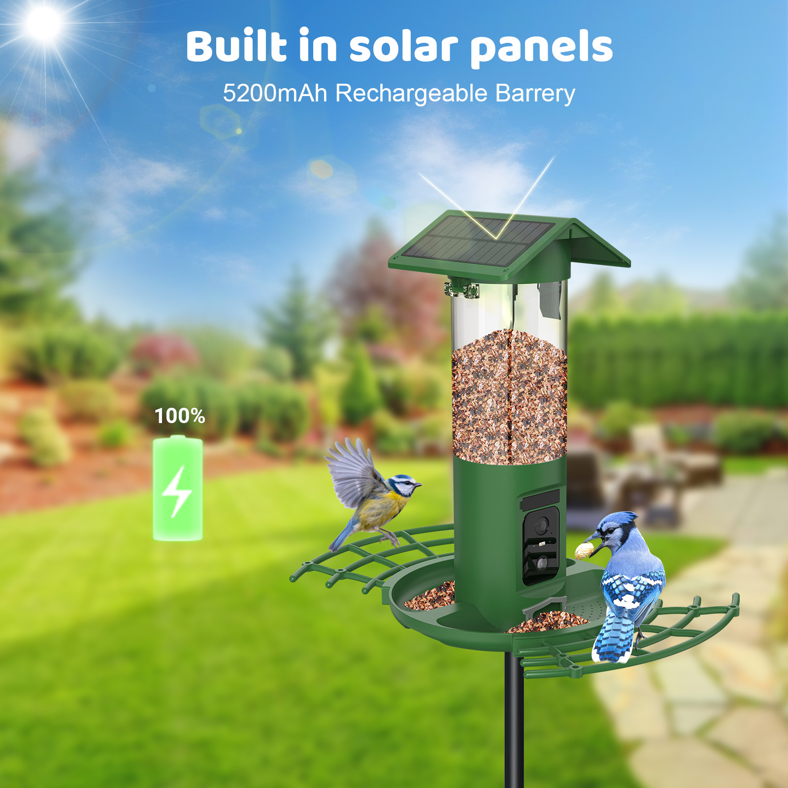Smart Dual Camera Bird Feeder  - Smart Bird Feeder Camera ulasan dan harga