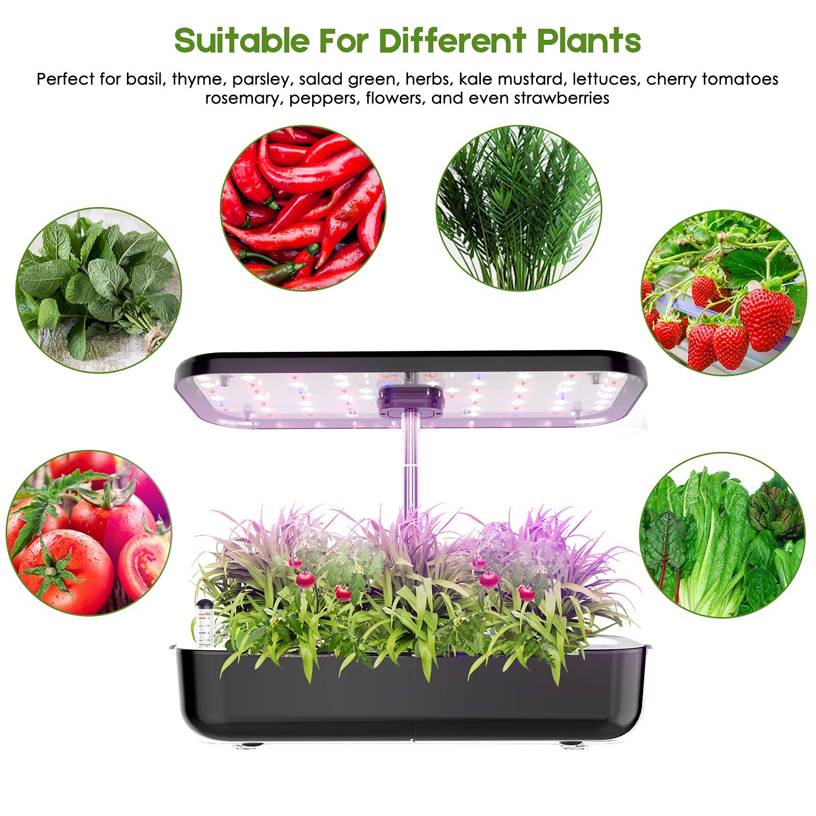 Hydroponics Growing System 12  - Smart Pod Garden ulasan dan harga