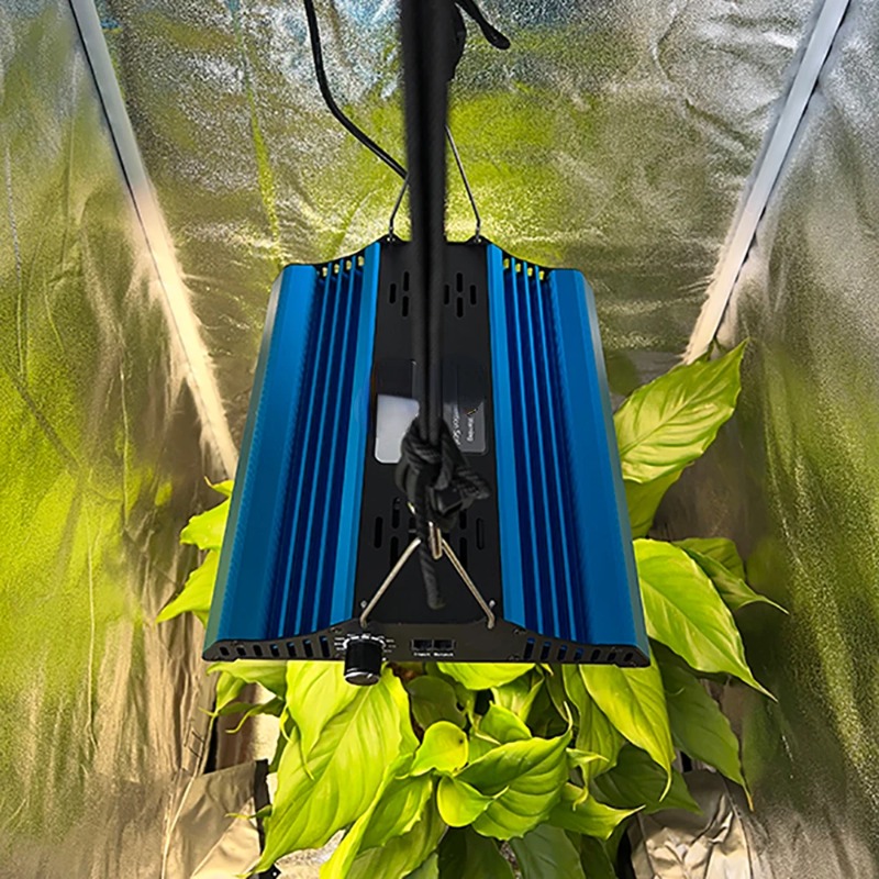 60*60*160cm Plant tent + Board - Grow Tent Complete Kit ulasan dan harga