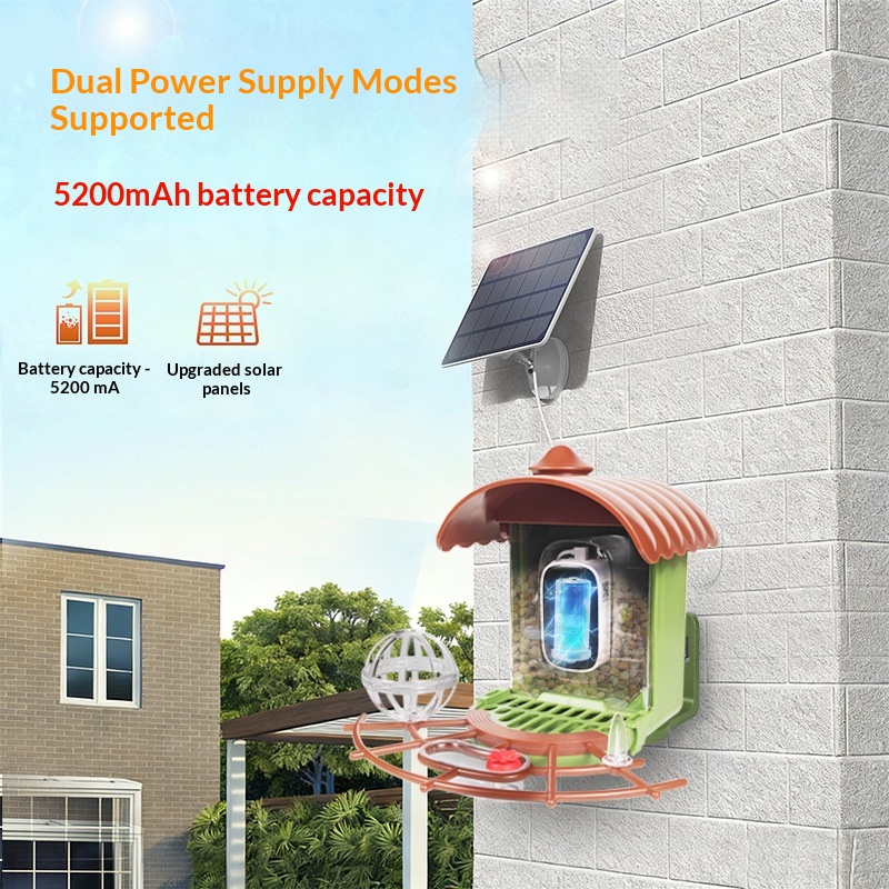 Outdoor Solar-Powered Automati - Smart Bird Feeder Camera ulasan dan harga