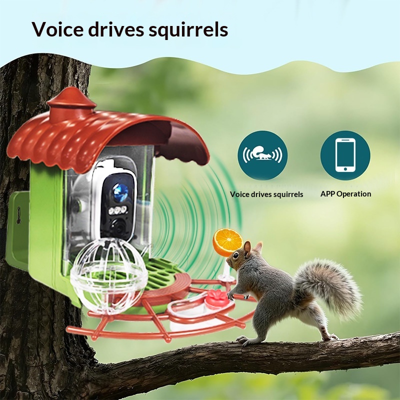 Outdoor Solar-Powered Automati - Smart Bird Feeder Camera ulasan dan harga